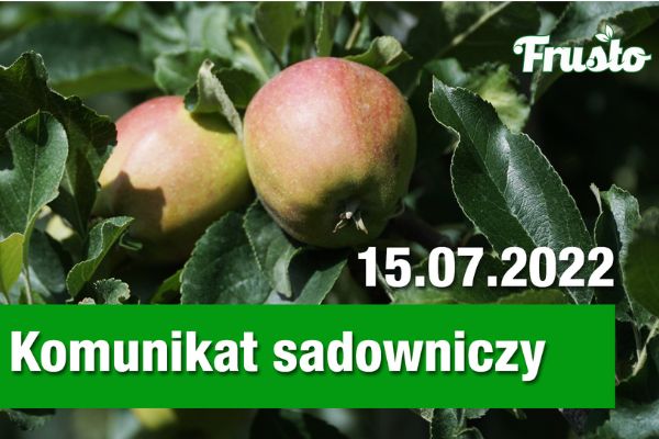 Komunikat sadowniczy 15.07.2022 / pordzewiacz jabłoniowy, owocówka śliwkóweczka